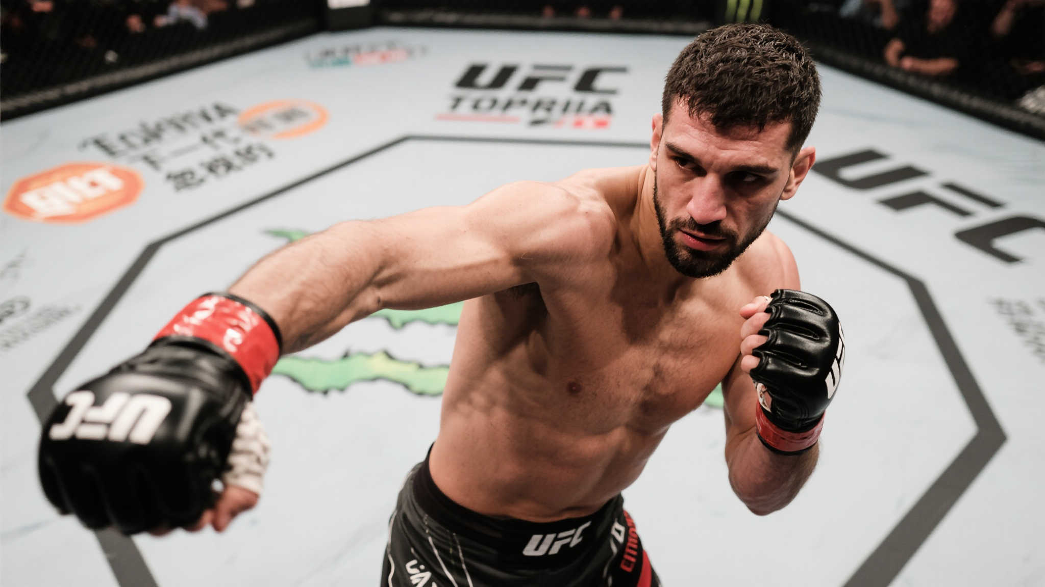 问鼎最新服务上线